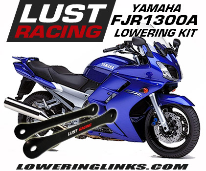 Yamaha FJR 1300 lowering links 0.6