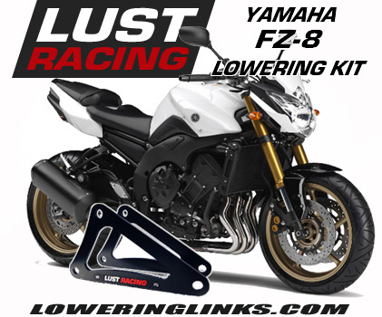 Yamaha FZ-8 lowering links