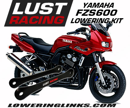 Yamaha FZS600 lowering links 1.2 in lower  1998-2003