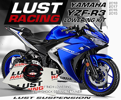 2015-2018 Yamaha YZF-R3 Lowering kit