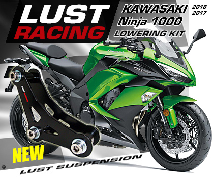 2017-2018 Kawasaki Ninja 1000 Lowering kit 