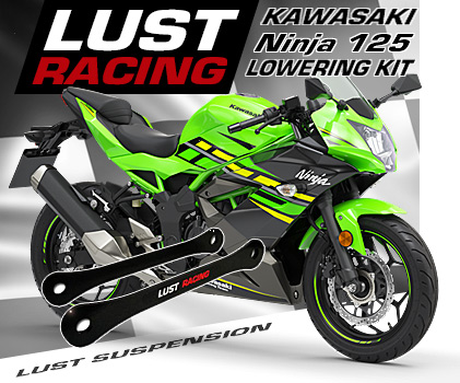 lust racing LR-LK-KAW-ZXR750-89-90-40L Black Kawasaki ZXR750 H2 Lowering Kit 40mm 