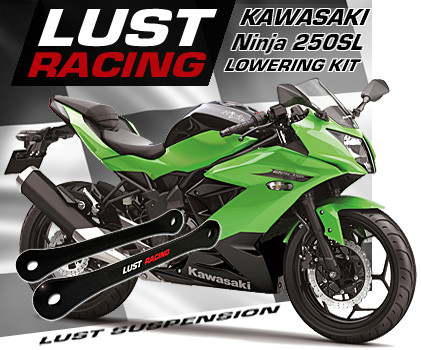 2015-2021 Kawasaki Ninja 250SL lowering kit