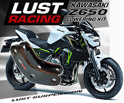 2017-2024 Kawasaki Z650 lowering kit 