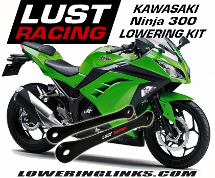 2013 - 2018 Kawasaki Ninja 300 lowering kit